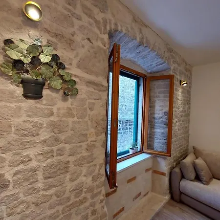 公寓 Palace 希贝尼克